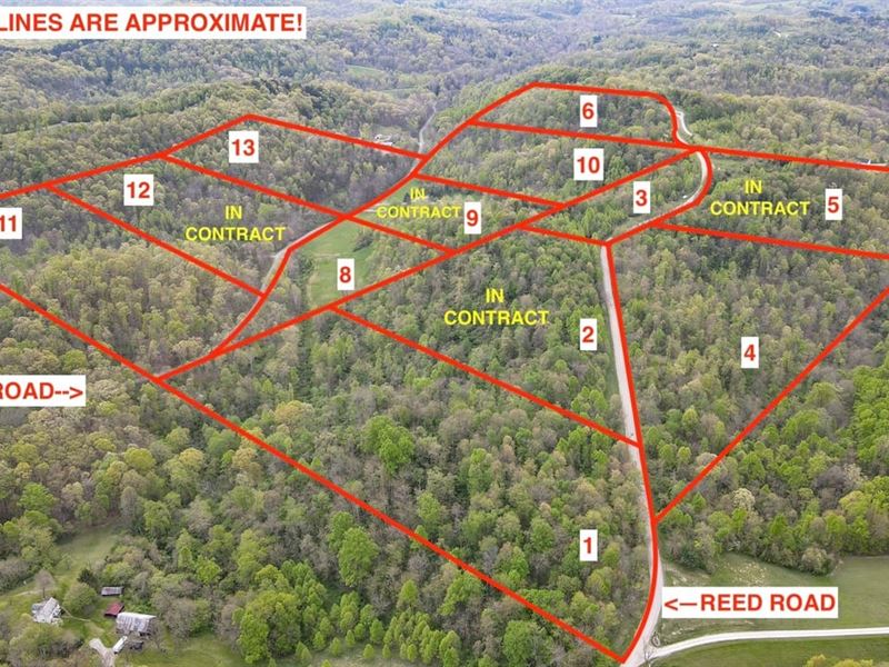 Moss Run Rd Lot 1, 26 Acres, Wash : Marietta : Washington County : Ohio