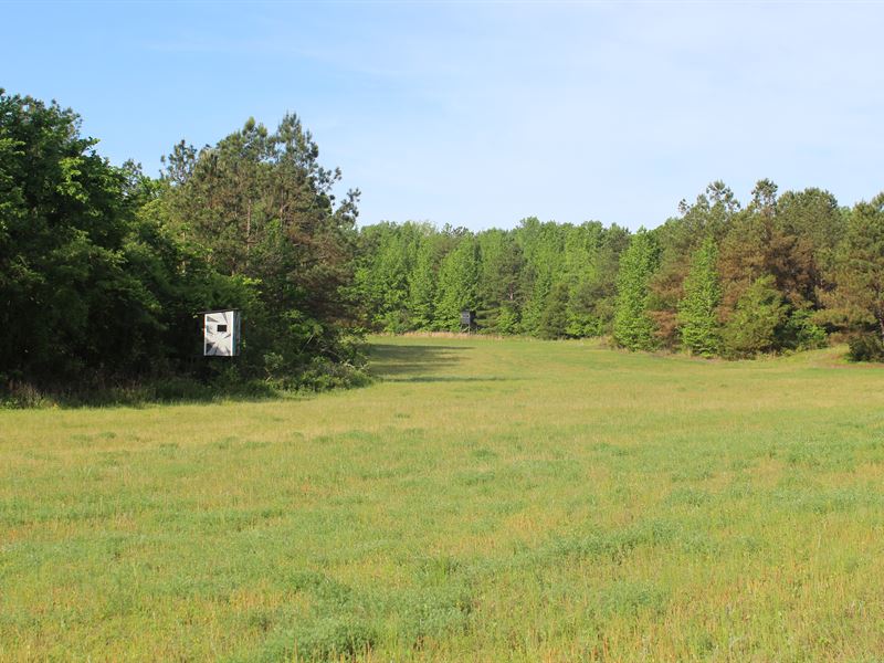 Rural Paradise, Perfect Home Site : Lamar : Marshall County : Mississippi