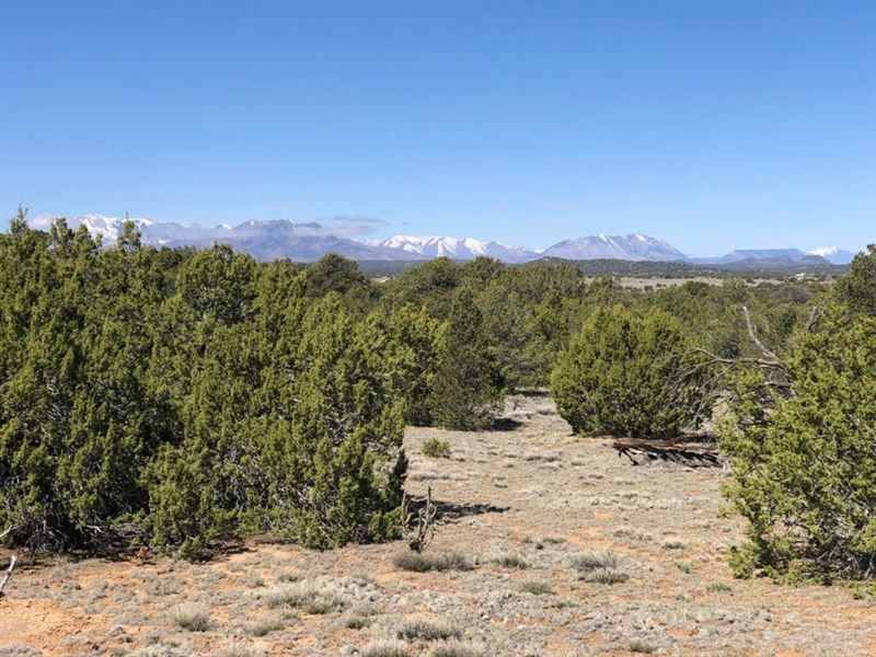 Lot 936 Rio Cucharas Phs 3, Walsen : Walsenburg : Huerfano County : Colorado