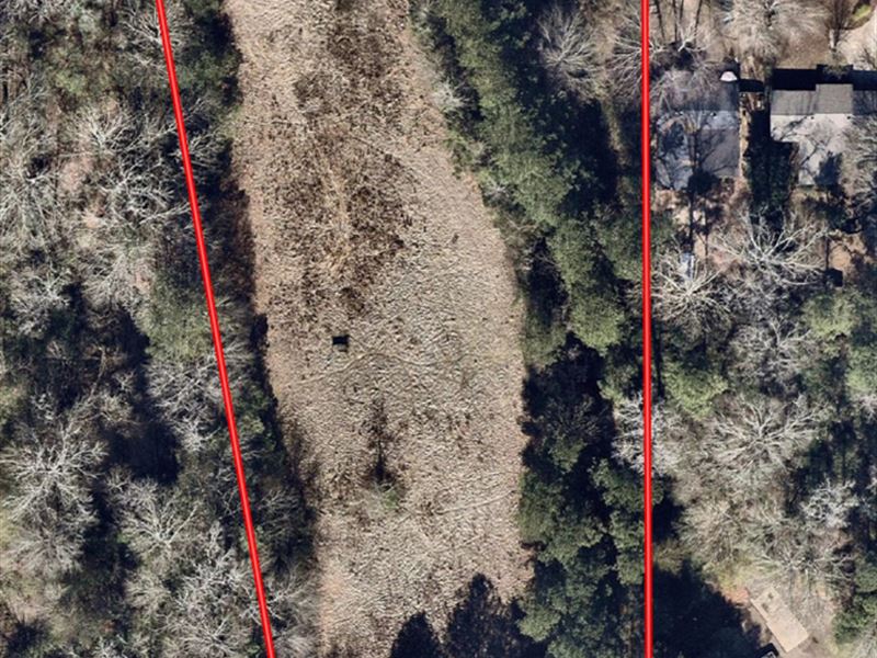 Large Estate Lot in Brandon, MS : Brandon : Rankin County : Mississippi