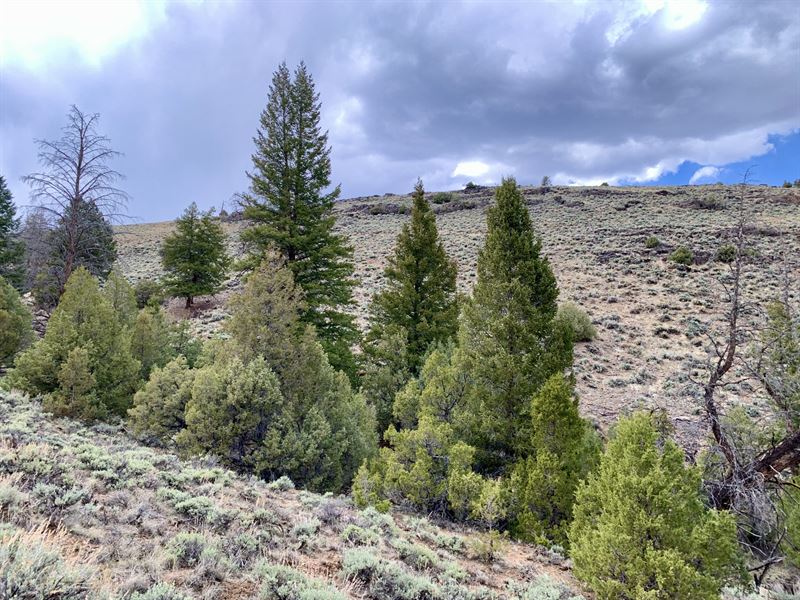 Little Boy Mayflower Patented Lode : Gunnison : Saguache County : Colorado