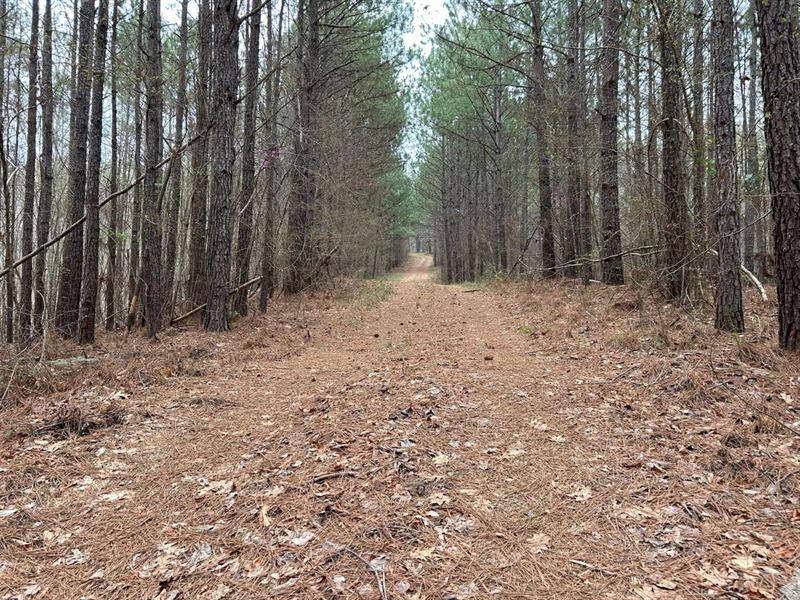 Timberland Investment & Recreation : Milledgeville : Baldwin County : Georgia