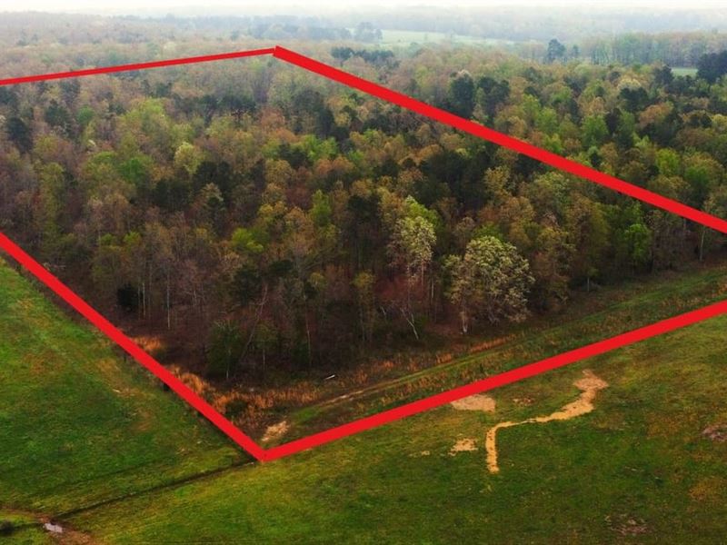 68 Acres for Sale in Ripley County : Grandin : Carter County : Missouri