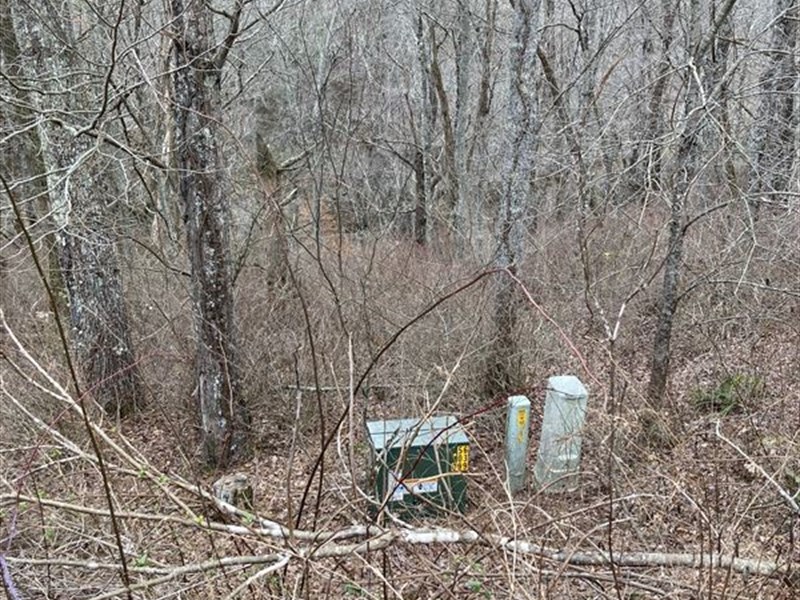 Live Freely in Ashe County Beauty : Grassy Creek : Ashe County : North Carolina