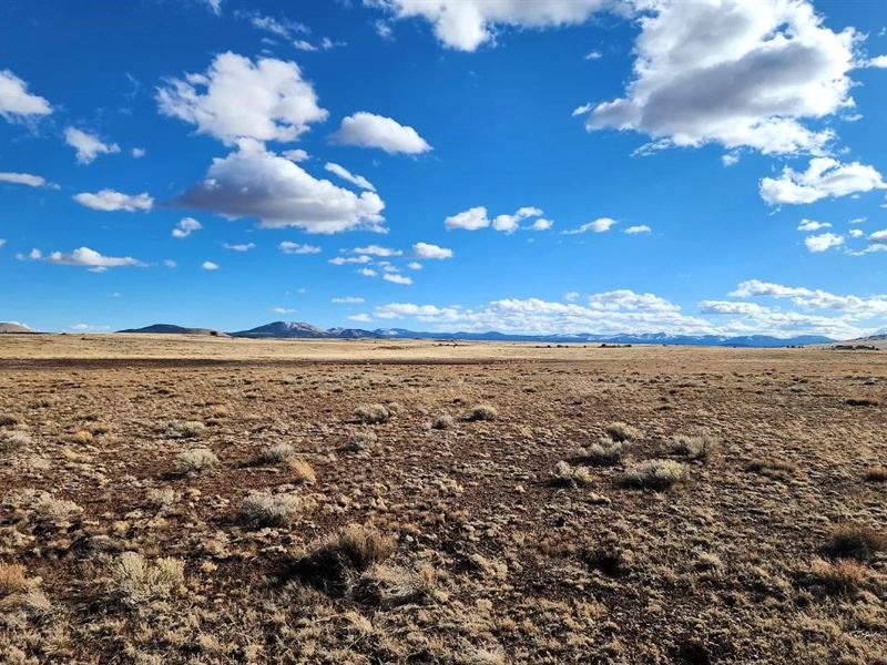 1 Acre for Your Dream Homesteading : Concho : Apache County : Arizona