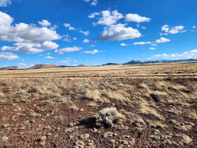 1.38 Acre Of Wide Open Space : Concho : Apache County : Arizona