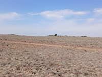 Embrace Boundless Freedom : Concho : Apache County : Arizona