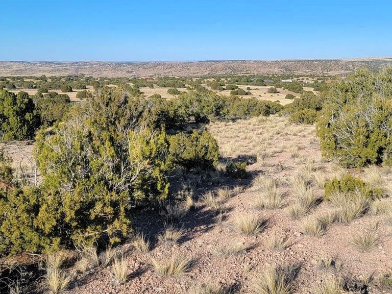 Piece Of Serenity and Convenience : Concho : Apache County : Arizona