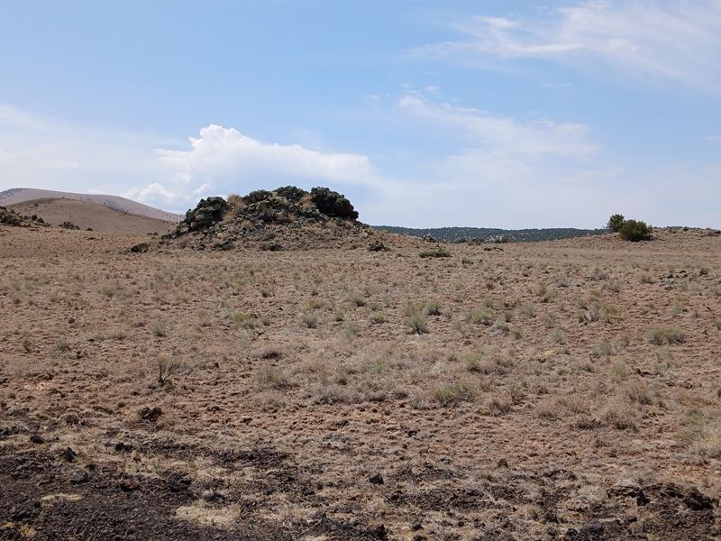 Big Dreams Start Here : Concho : Apache County : Arizona