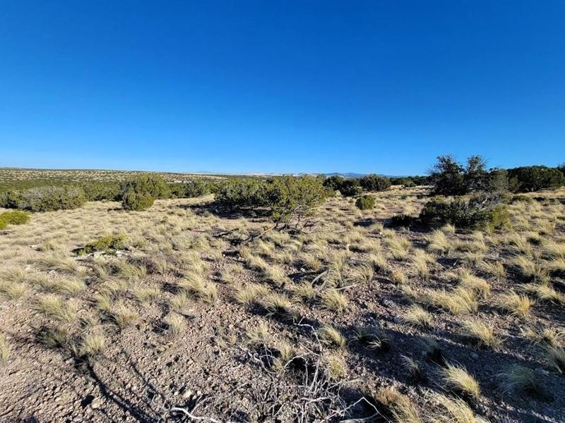 Embrace Boundless Freedom : Concho : Apache County : Arizona