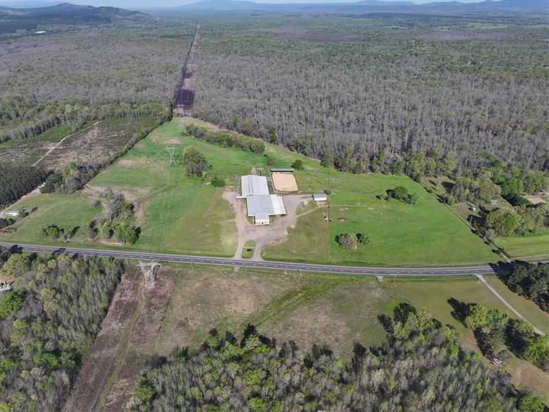 Livestock Market in Danville, AR : Danville : Yell County : Arkansas