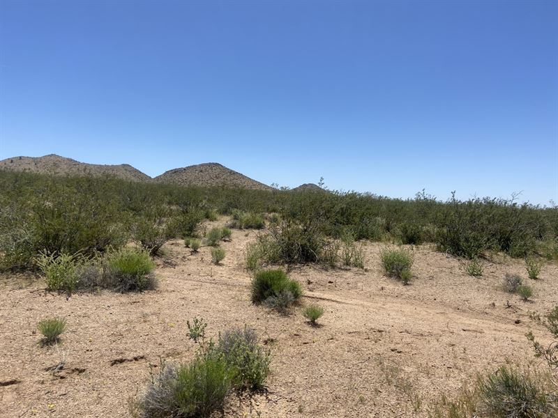 Valle Vista, Prime Land on Sale : Kingman : Mohave County : Arizona