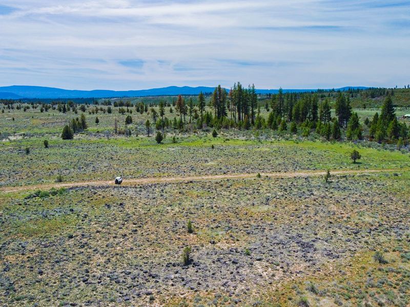 Not All Who Wander Are Lost : Chiloquin : Klamath County : Oregon