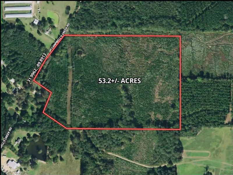 53.2 Acres in Simpson County in Men : Mendenhall : Simpson County : Mississippi