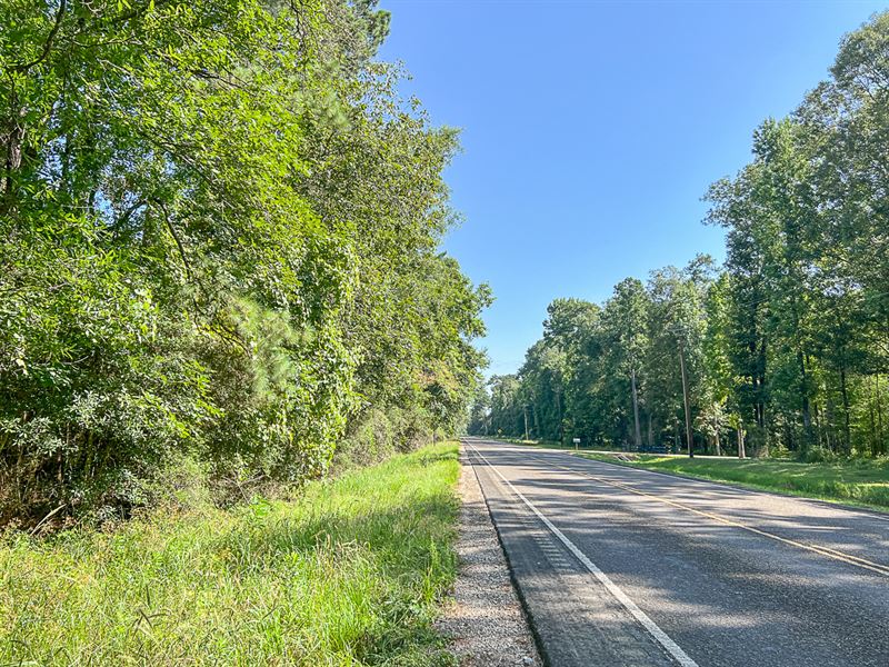 1,334 Acres FM 1008 : Dayton : Liberty County : Texas