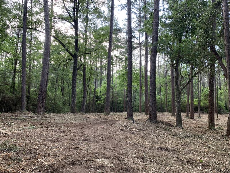 80+/- Ac Chatawa Rd, Magnolia, MS : Magnolia : Pike County : Mississippi