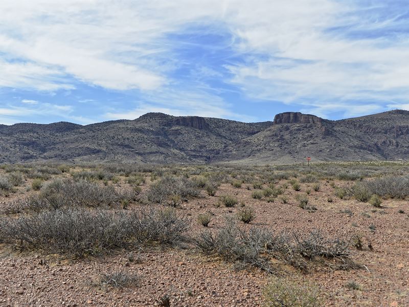 Country Living Views : Deming : Luna County : New Mexico