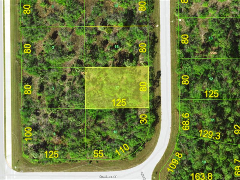 South Gulf Cove Discounted Land : Port Charlotte : Charlotte County : Florida