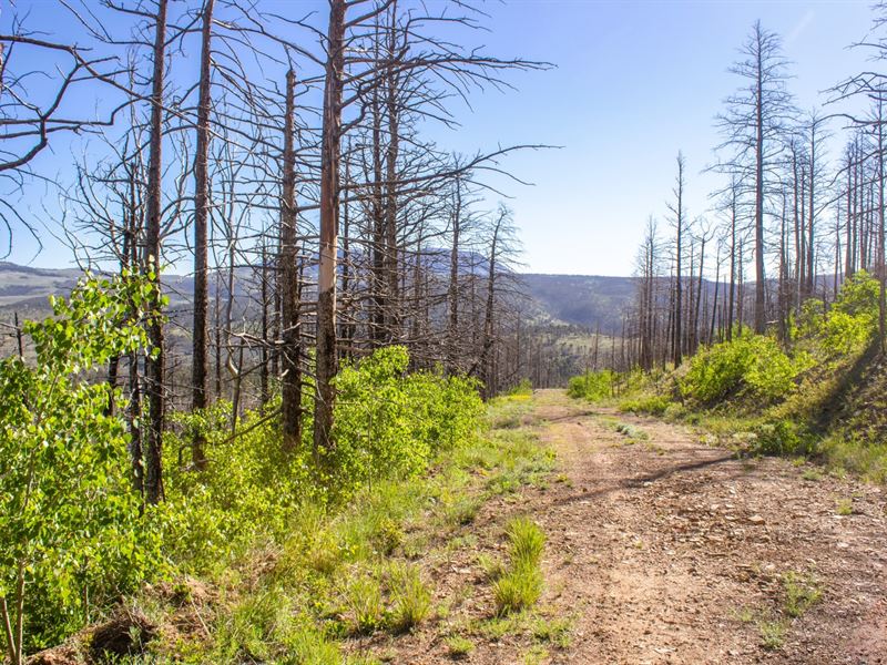 Mountain View Land in Forbes Park : Fort Garland : Costilla County : Colorado