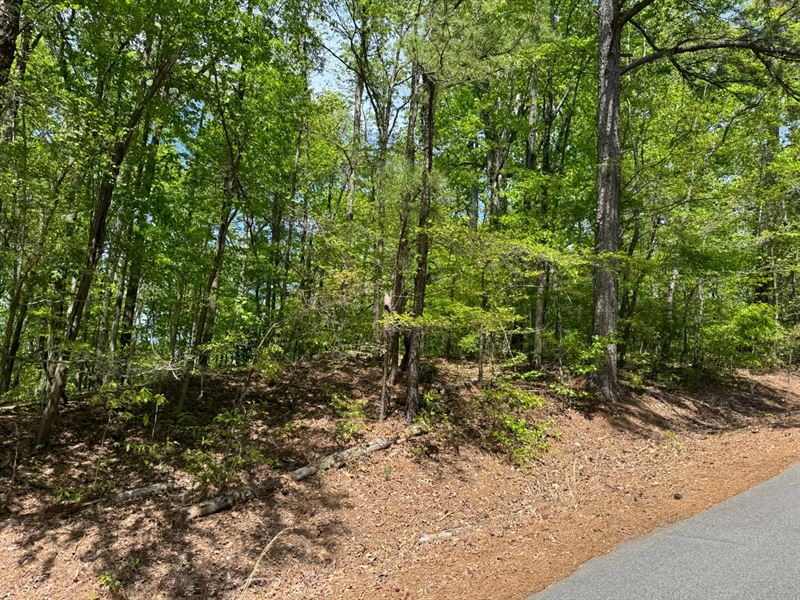 Oak Hill Subdivision.62 Acre Lot : Northport : Tuscaloosa County : Alabama