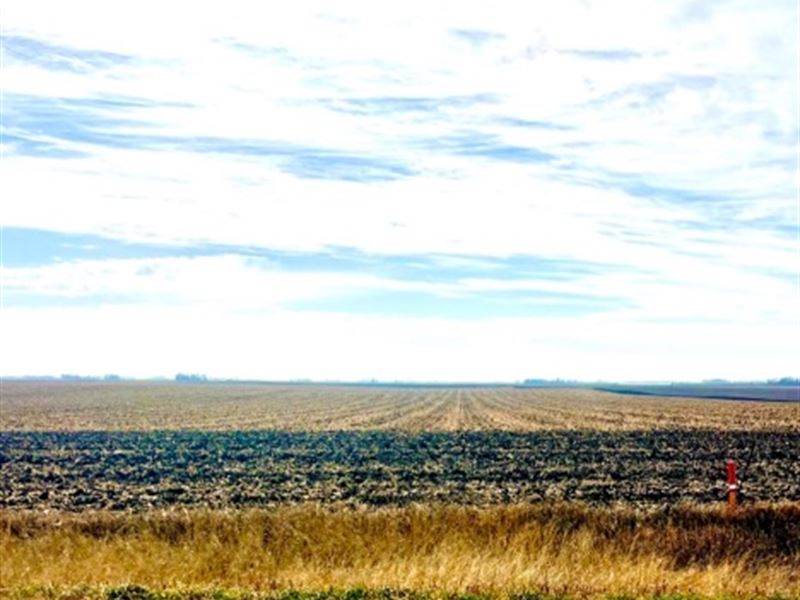 Humboldt County, Iowa Farmland : Humboldt : Humboldt County : Iowa