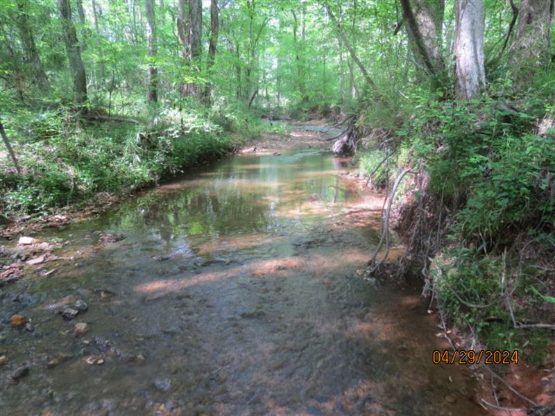 Hunting Land Near Alex City : New Site : Tallapoosa County : Alabama