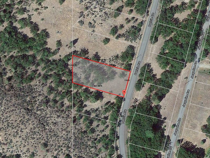 .5 Acre Near Lake Copco : Montague : Siskiyou County : California