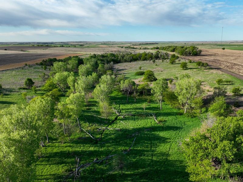 Phillips County Farm & Hunt : Glade : Phillips County : Kansas