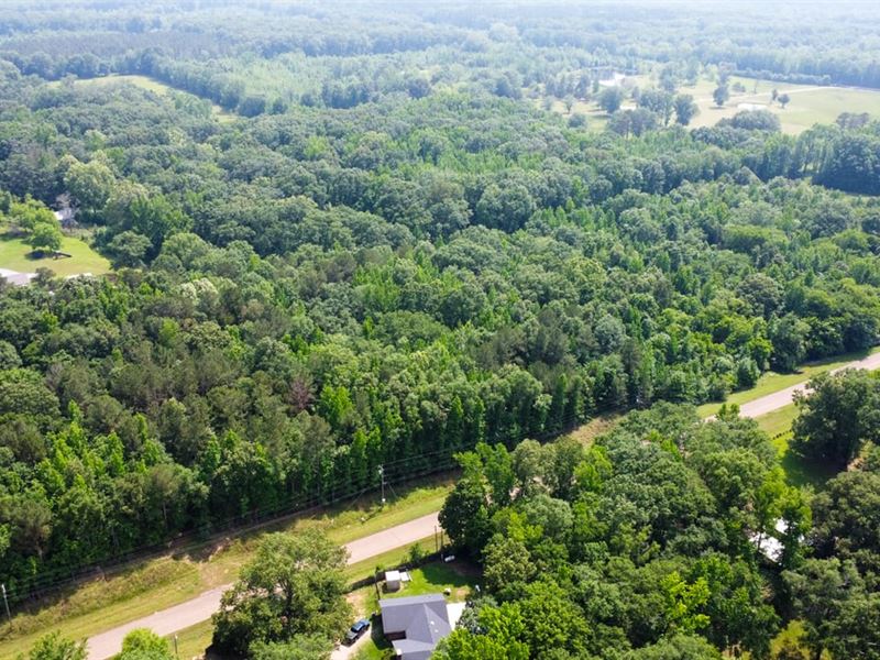 Clay County, 11 Acres on Section Ro : West Point : Clay County : Mississippi