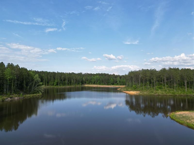 76 Acres with a Large Lake : Prattville : Autauga County : Alabama