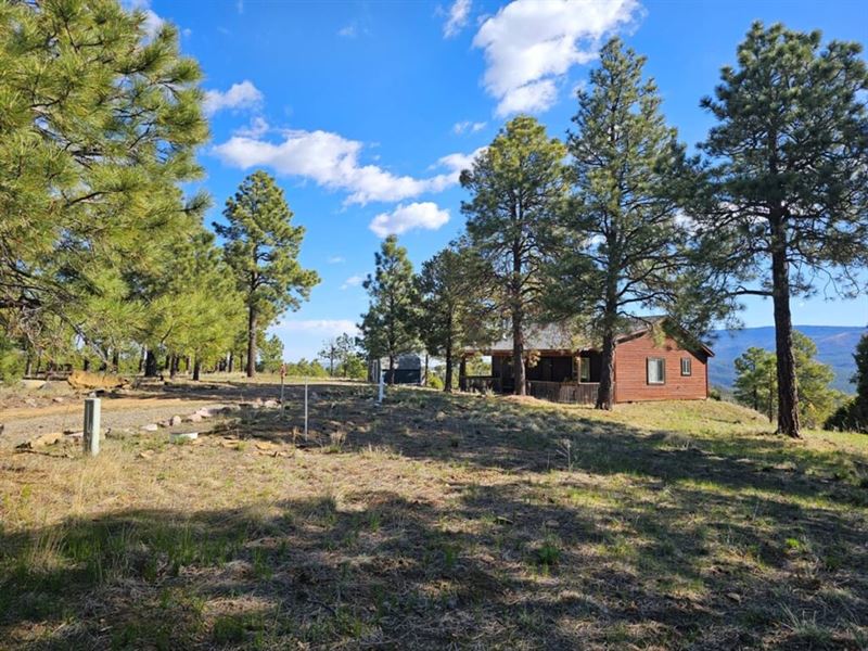 F13 Sftr with 720 Sq Ft Cabin : Trinidad : Las Animas County : Colorado