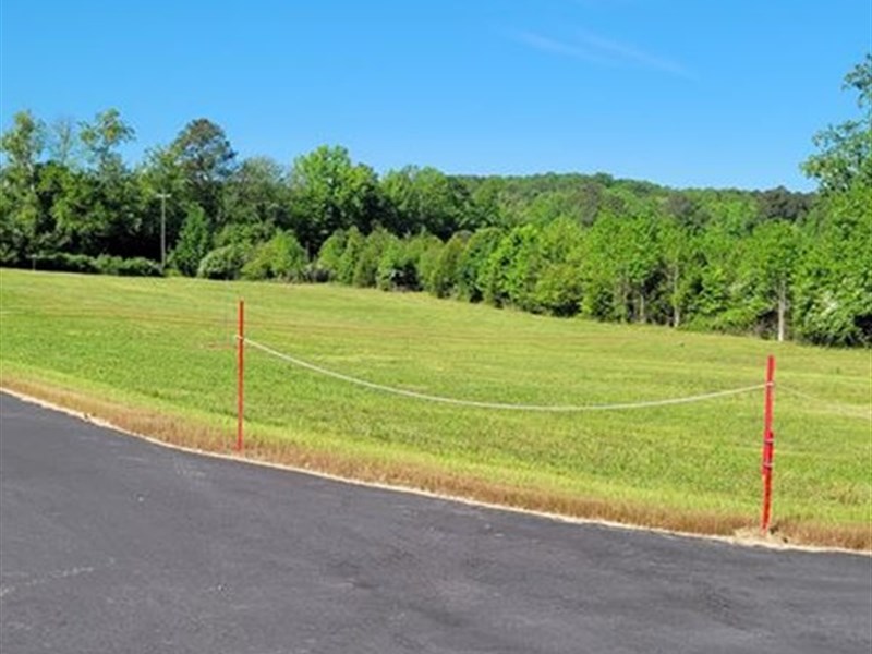 Estate Lot in Rural Setting, Lot 2 : Pittsboro : Chatham County : North Carolina