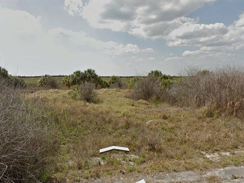 Sunny Florida Canal Lot in Palm Bay : Palm Bay : Brevard County : Florida