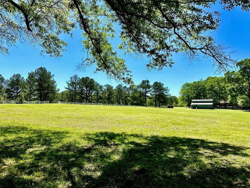 5 Acre Pristine Pasture and Homesit : Summit : Pike County : Mississippi