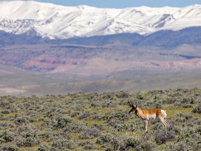 Crowheart Upper Ranch : Lander : Fremont County : Wyoming