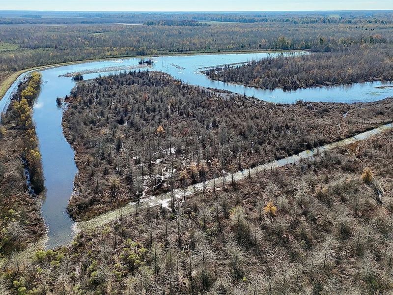 Delta Duck and Deer Hunting Propert : Monterey : Concordia Parish : Louisiana