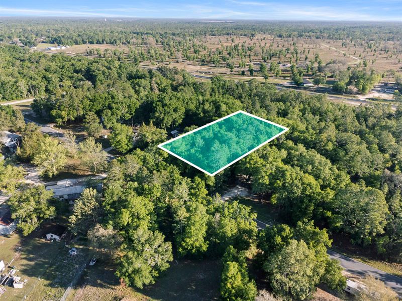 .46 Acre Lot in Bronson, FL : Bronson : Levy County : Florida