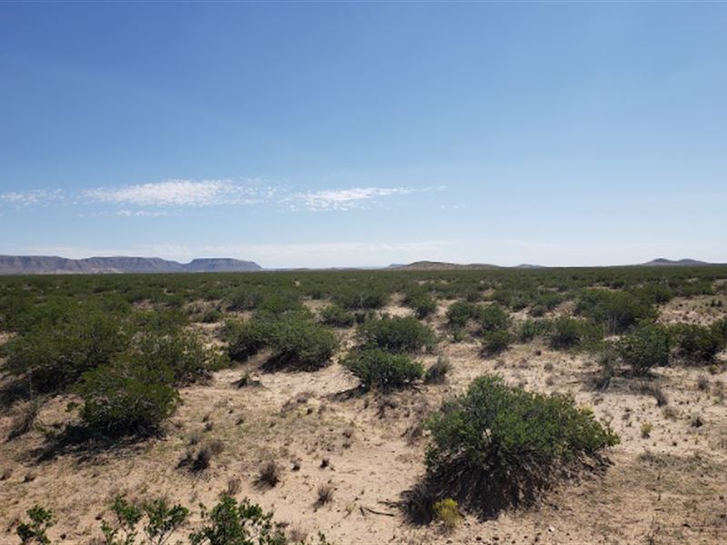 The Desert Oasis : Agua Dulce : El Paso County : Texas