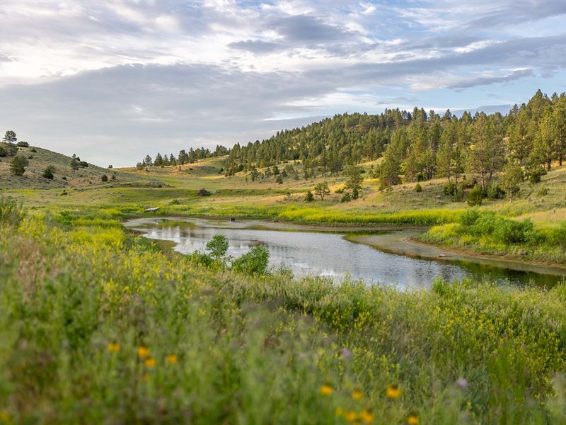 A4 Broad Axe Road : Gillette : Campbell County : Wyoming