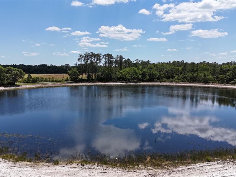 114.1Ac, E Hwy 318, Citra, FL : Citra : Marion County : Florida