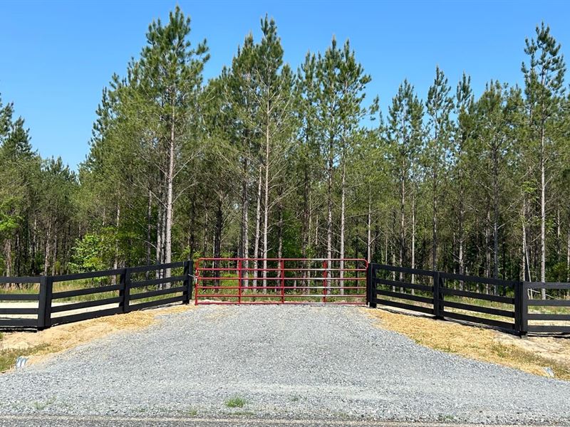 Bluewater Country Lot 10 : Dexter : Laurens County : Georgia