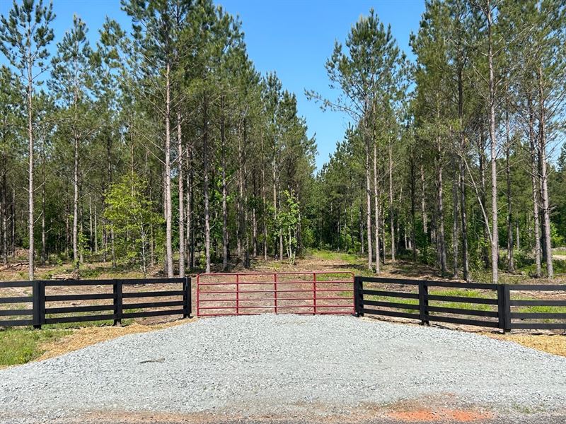 Bluewater Country Lot 14 : Dexter : Laurens County : Georgia