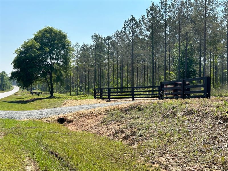 Bluewater Country Lot 19 : Dexter : Laurens County : Georgia