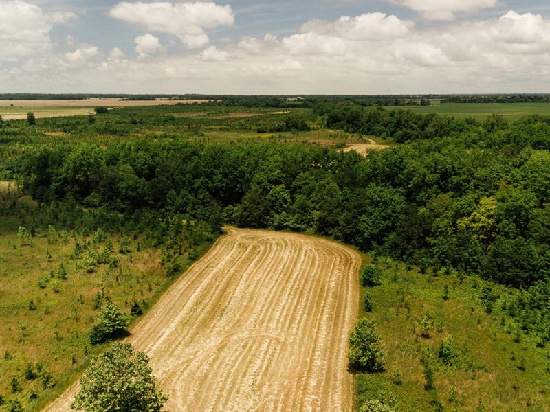 354 Acres in Coahoma County, MS : Clarksdale : Coahoma County : Mississippi