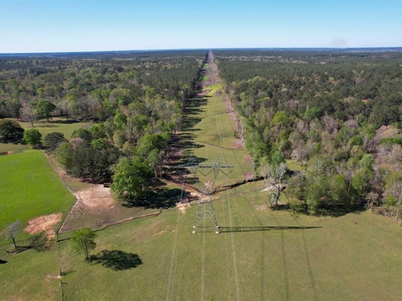 Turnkey High Fence for Sale in Amit : Liberty : Amite County : Mississippi