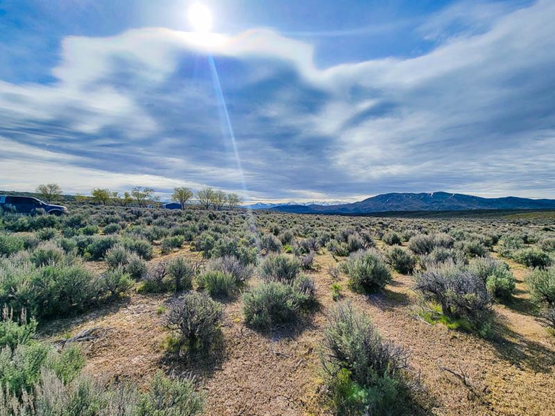 Your 2 Acre Mountain Oasis Awaits : Elko : Elko County : Nevada