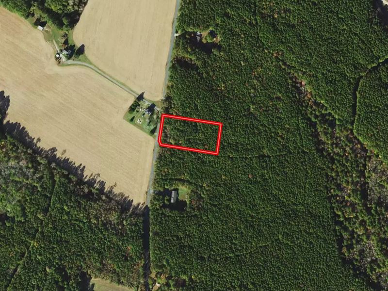 1.73 Acre Building Lot for Sale : Nelsonia : Accomack County : Virginia