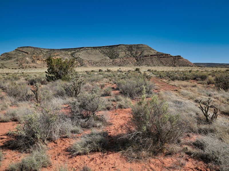 1.7 Acres for $100/Month : Laguna : Valencia County : New Mexico