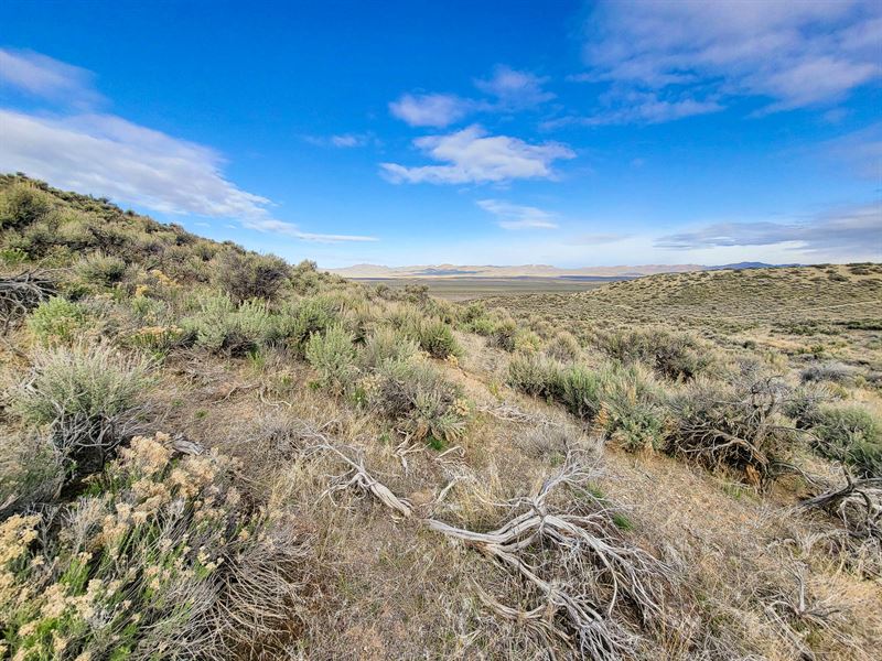 Own 1.03 Acres of Outdoor Bliss : Elko : Elko County : Nevada