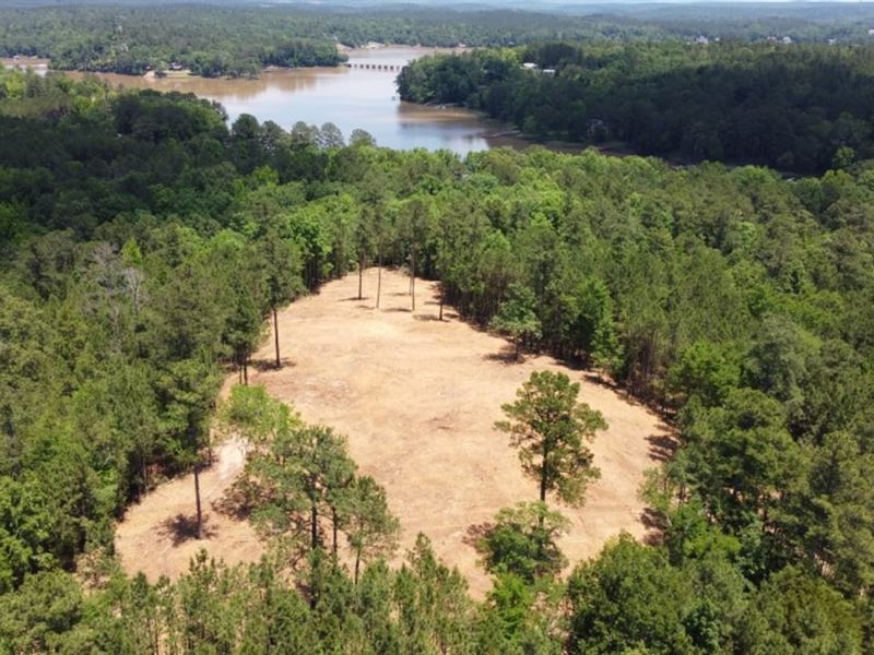 41 Acre, Scenic Hilltop View of LA : Winnsboro : Fairfield County : South Carolina